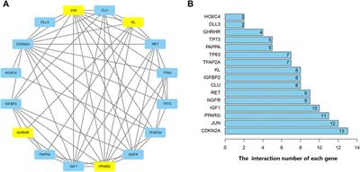 Identification and Validation of Aging-Related Genes in Idiopathic Pulmonary Fibrosis
